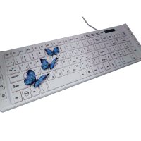 keyboard-of-butterfly.jpg